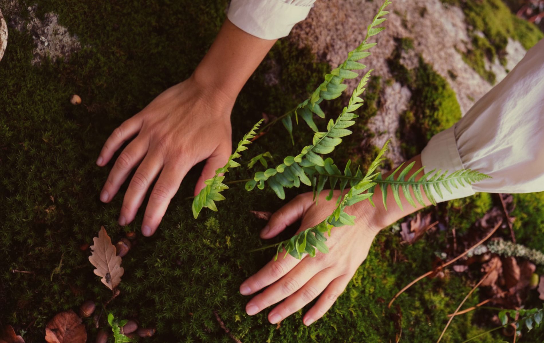 Accompagnement bien-être